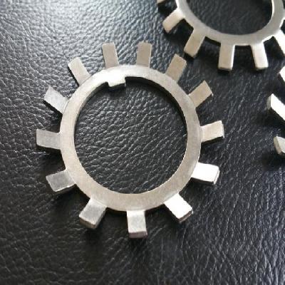MS Lock Washer