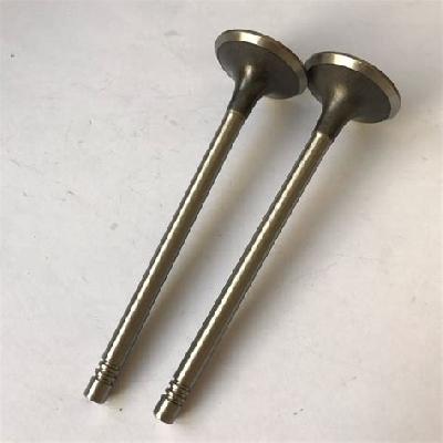 Engine Valve