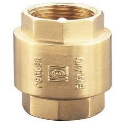 25 MM Brass Check Valve