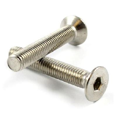 Stainless Steel Bolts
