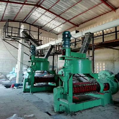 Cotton Seed Oil Extraction Machine