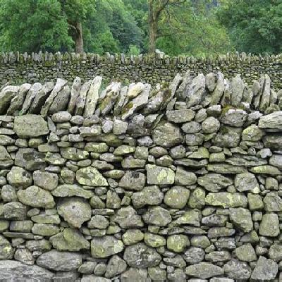 Dry de stone