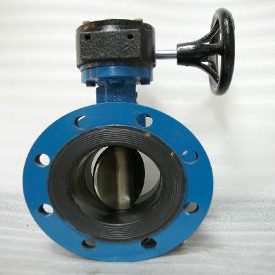 Butterfly Valve