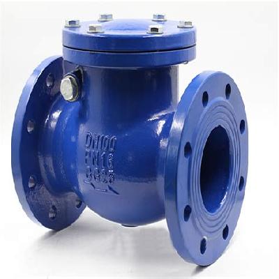 Check Valve