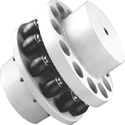 Flexible Pin Bush Coupling