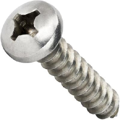 SS Screws