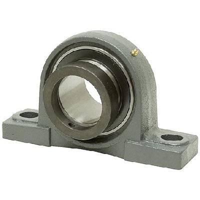 Cast Iron Pillow Block Bearing