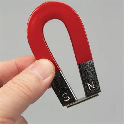 Horseshoe Magnet