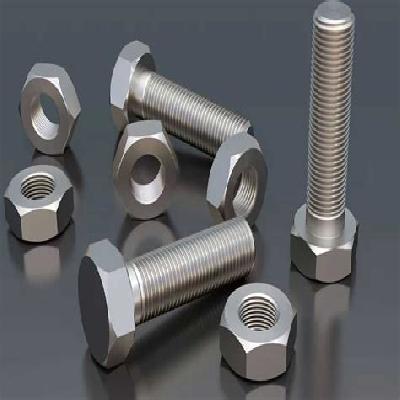 SS Fasteners