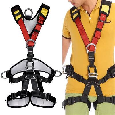 Full Body Safety Belt
