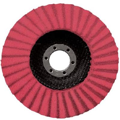 Abrasive Flap Discs