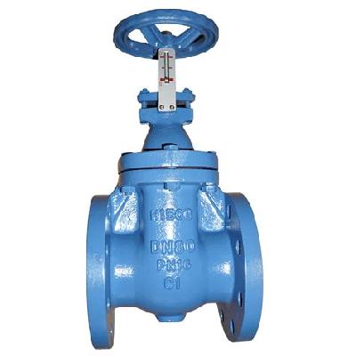 CI Gate Globe Check Valve