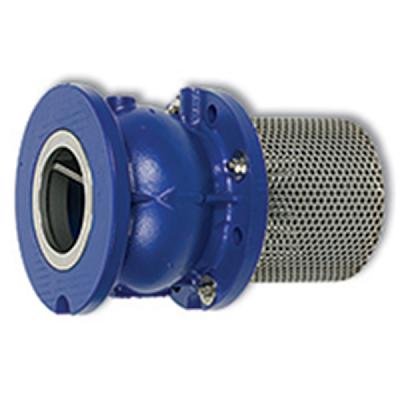 CI Plain Major Foot Valve