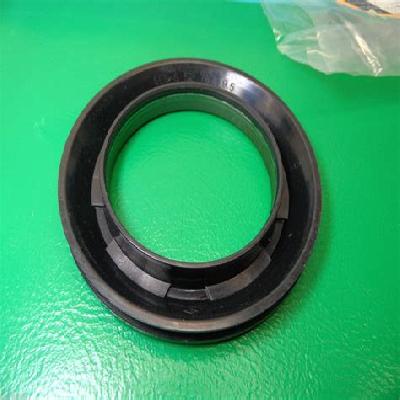 Sunny Oil Seal