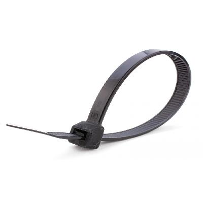 200 mm Cable Tie