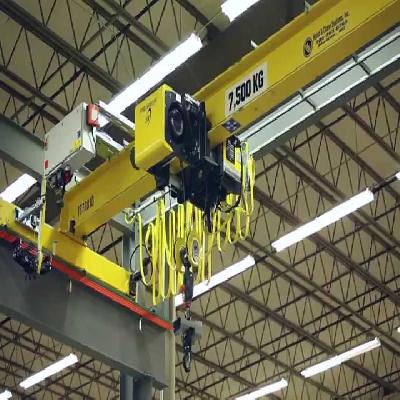 Hoist Crane