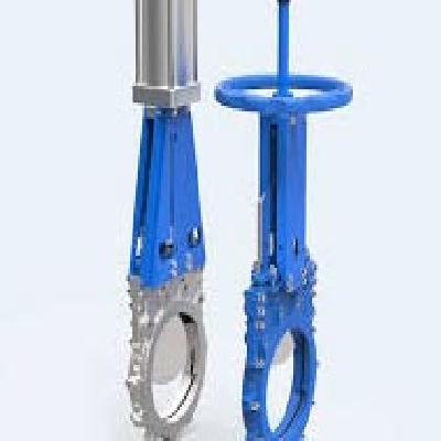 Pulp Valve