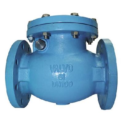 Water Type Check Valve