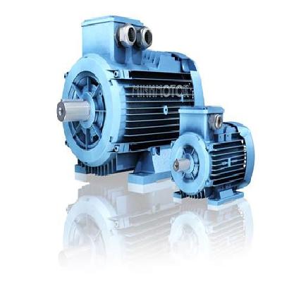 IE1 ABB General Performance Motor