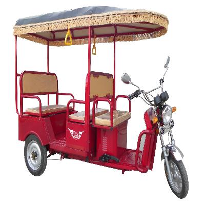 E-Rickshaw Roof Set