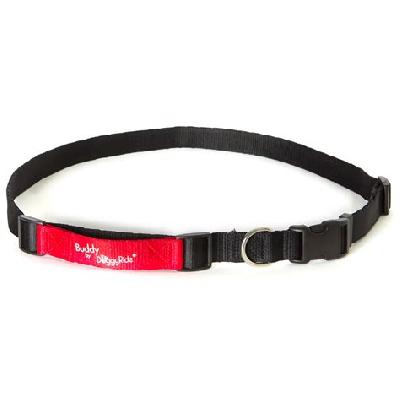 Jogger Belt