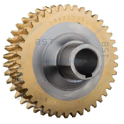 Worm Wheel