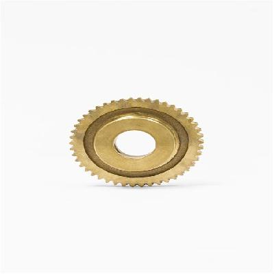 Bronze Worm Gear