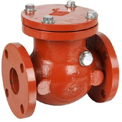 Cast Iron Swing Check Valve