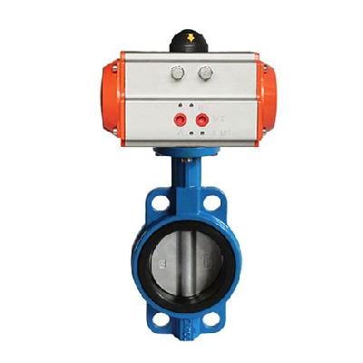 Cast Iron Butterfly Valves Casting