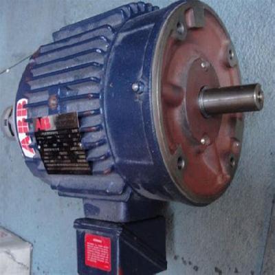 ABB Induction Motor