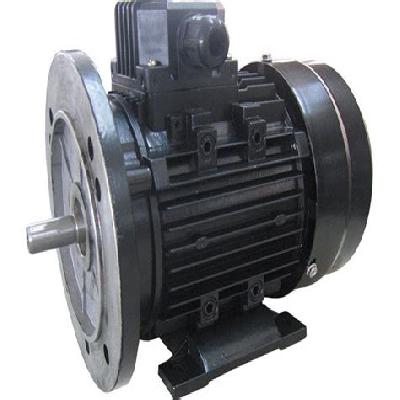 Three Phase Induction Motor