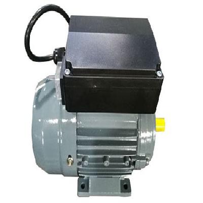 Induction Electric Motor