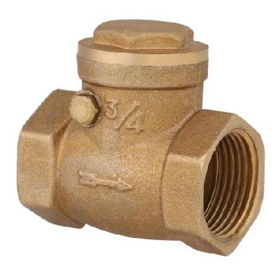 Non Return Valve