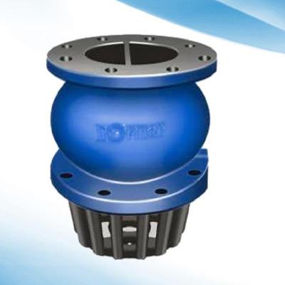 CI Foot Valve
