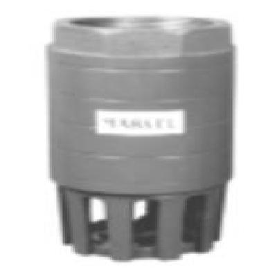 Major Foot Valve