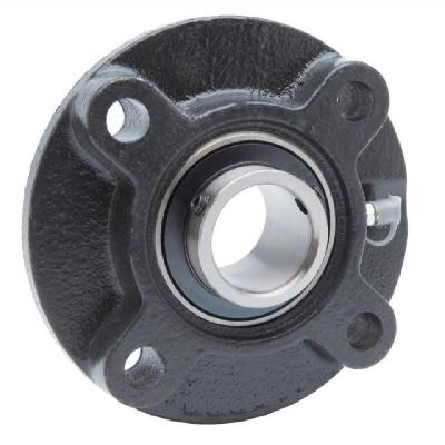 2 Inch Cast Iron Flange