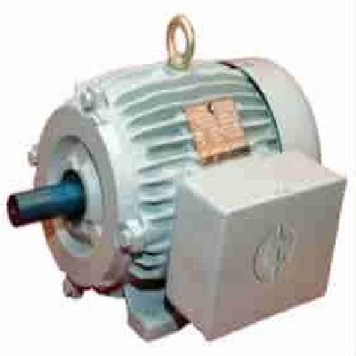 1 HP Copper Winding Electric Motor