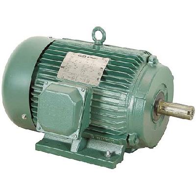 2 HP Copper Winding Electric Motor