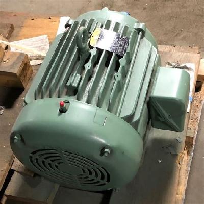 2 HP Super King Electric Motor