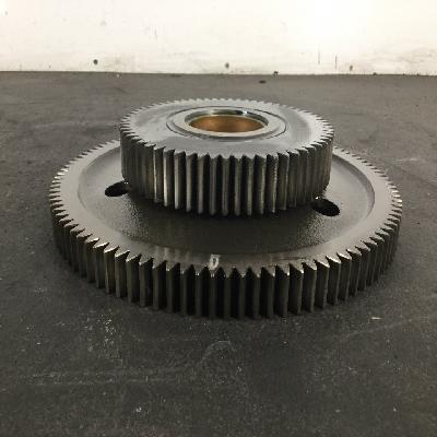 SS Paper Bull Gear