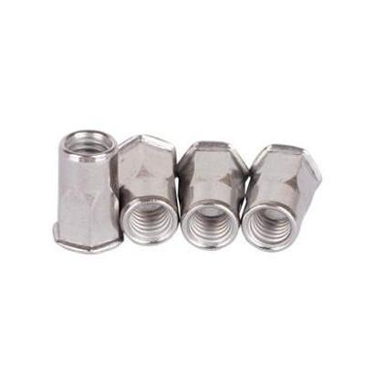 SS Hex. Rivit Nut M10