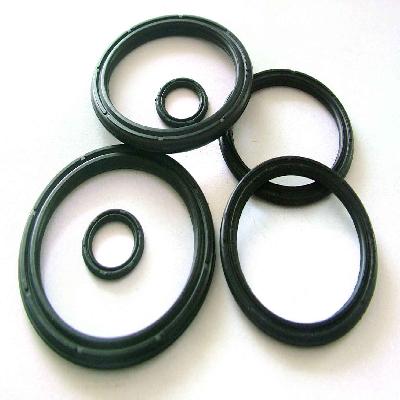 Piston Seals