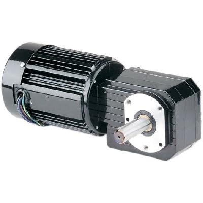 AC Gear Motor
