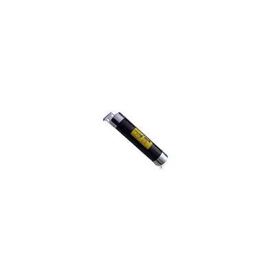 Capacitor Protection Fuse