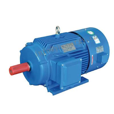 AC Induction Motor