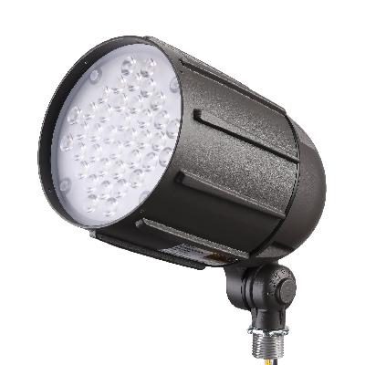 LED Flood Light