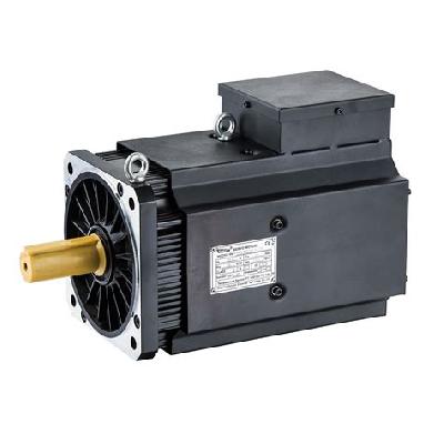 Rotary Servo Motor