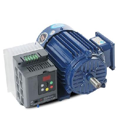 Inverter Motor