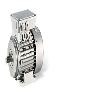 Mh Three Phase Ac Motors