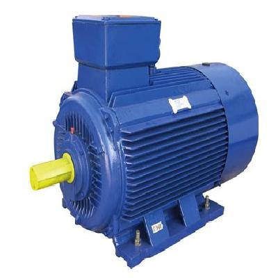 Standard Asynchronous Motors